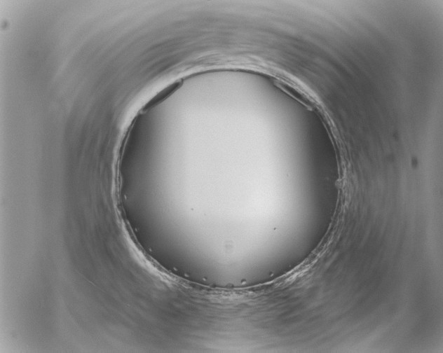 X0000053061528200508081141