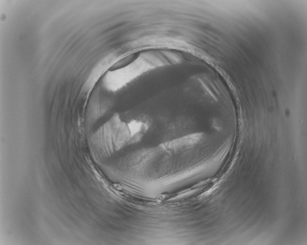 X0000053061529200508081141