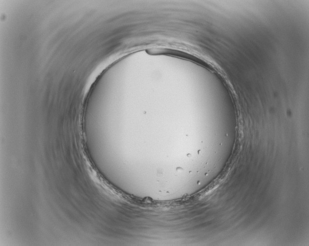 X0000053061530200508081141