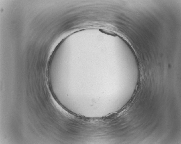 X0000053061531200508081141