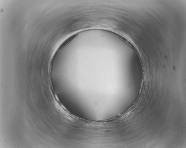 X0000053061532200508081141