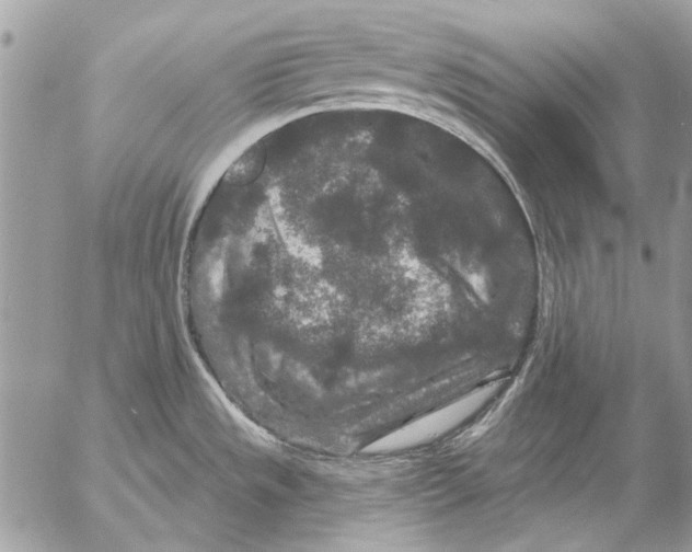 X0000053061533200508081141