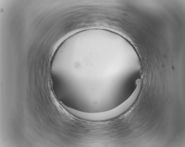 X0000053061534200508081141