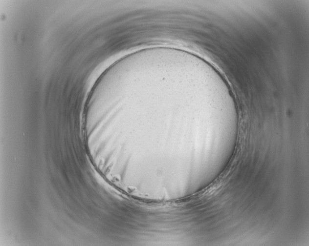 X0000053061535200508081141