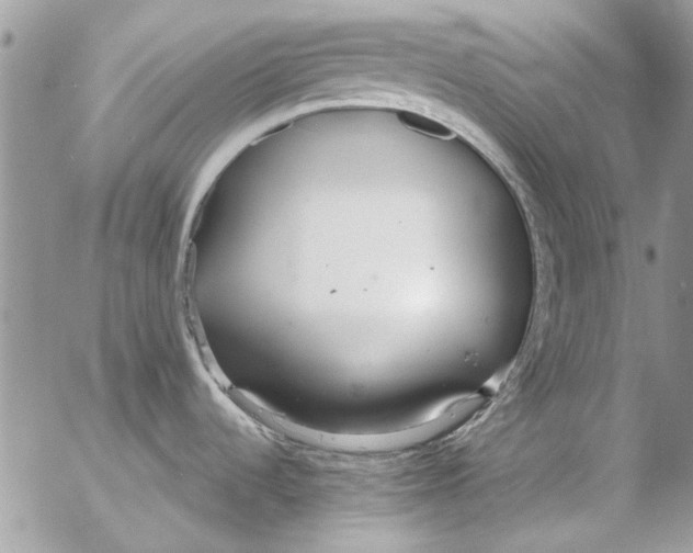 X0000053061536200508081141