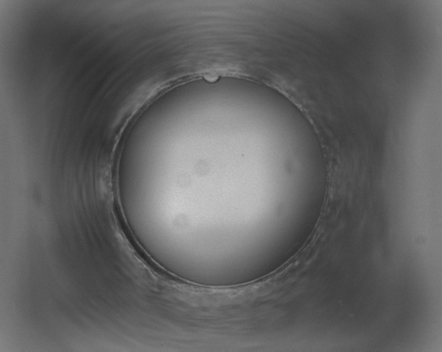 X0000053070002200507111230