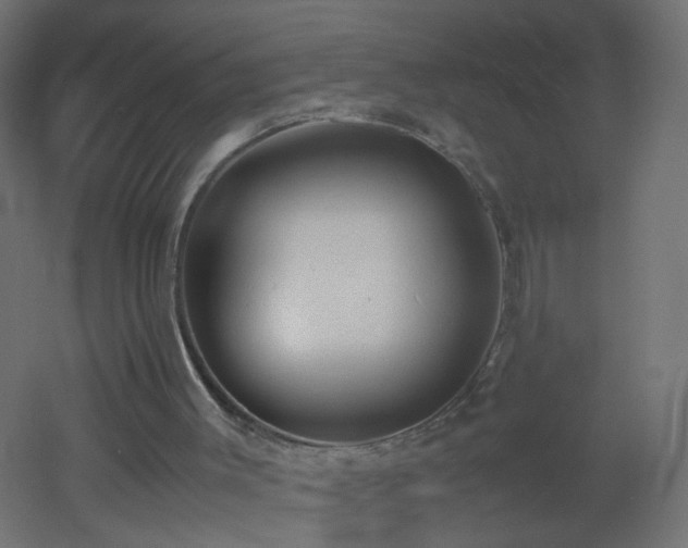 X0000053070003200507111230