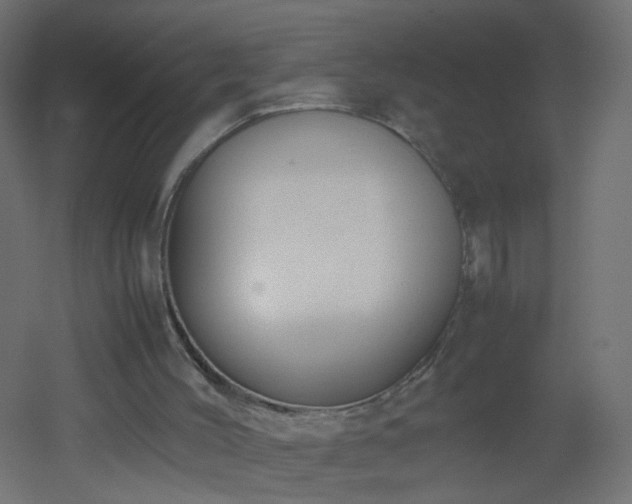 X0000053070004200507111230