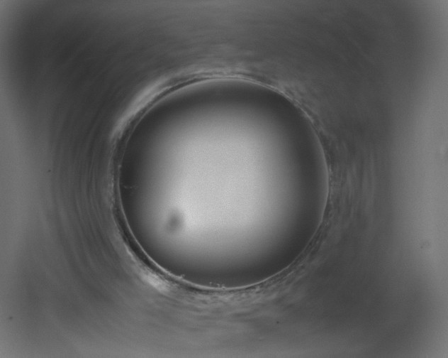 X0000053070005200507111230