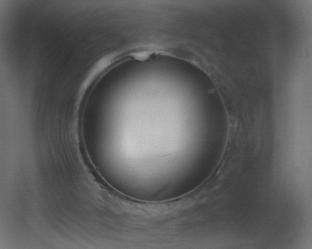 X0000053070006200507111230