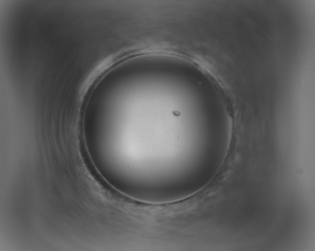 X0000053070007200507111230