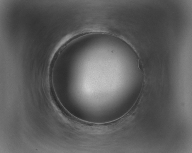 X0000053070008200507111230