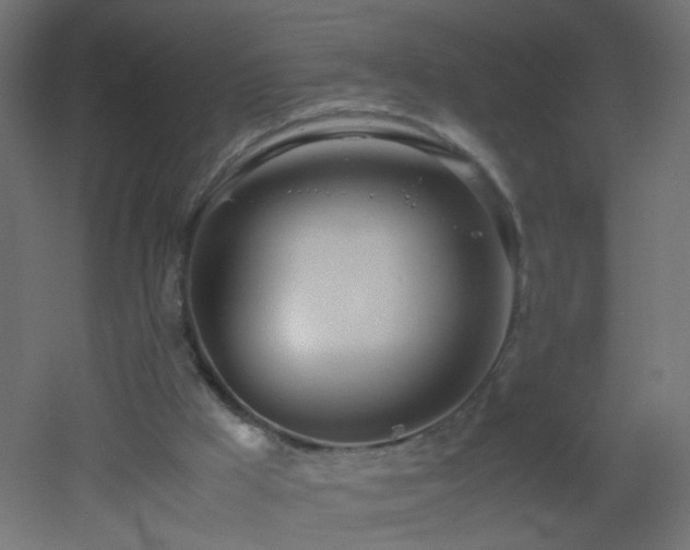 X0000053070009200507111230