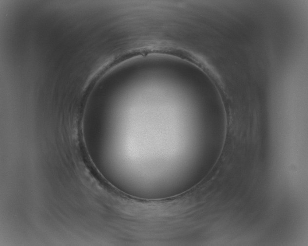 X0000053070010200507111230