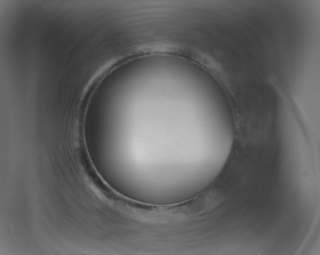 X0000053070012200507111230