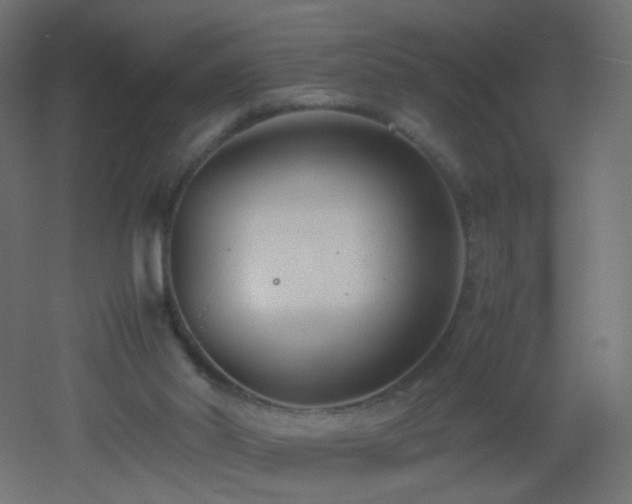 X0000053070014200507111230