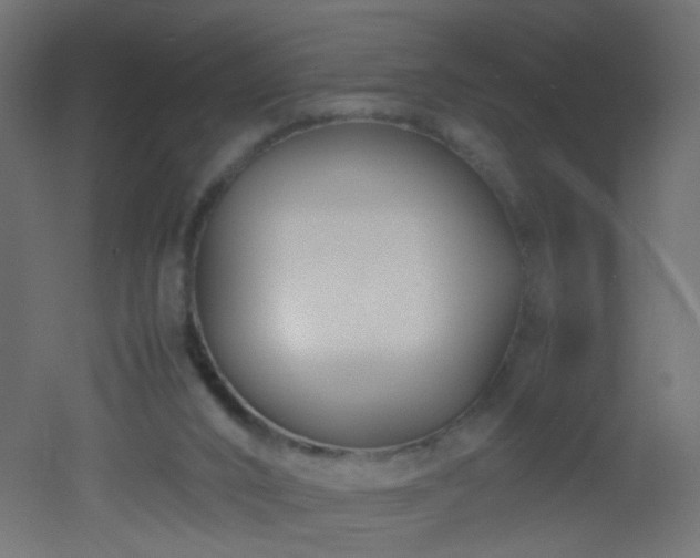 X0000053070016200507111230