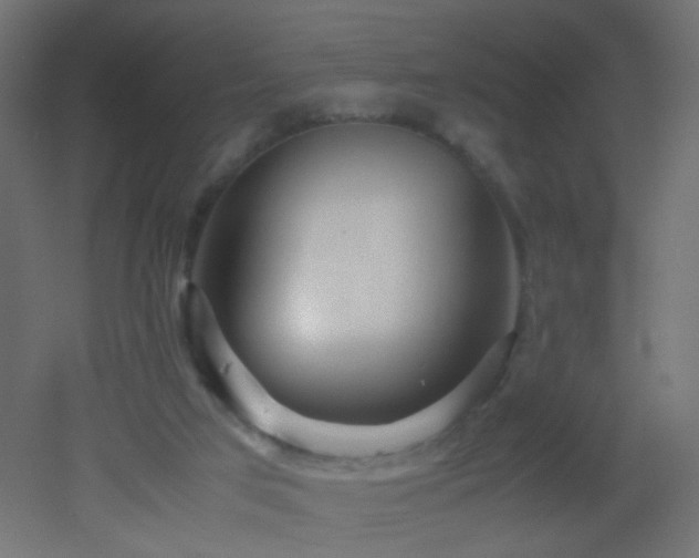 X0000053070017200507111230