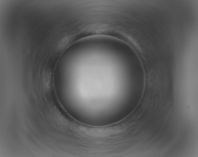 X0000053070018200507111230