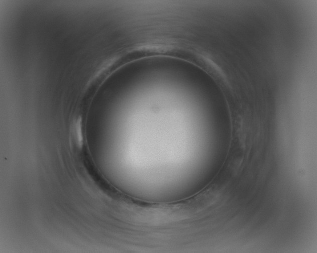 X0000053070020200507111230