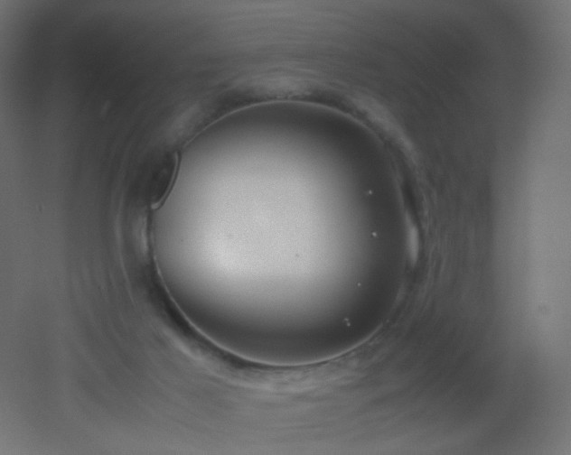 X0000053070021200507111230