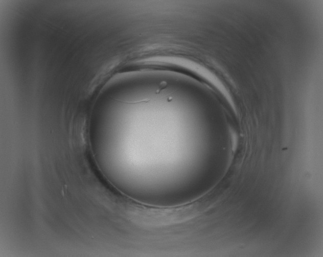 X0000053070023200507111230