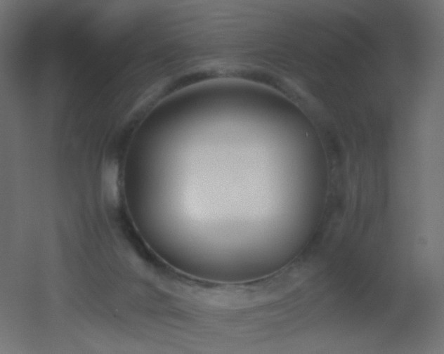 X0000053070024200507111230