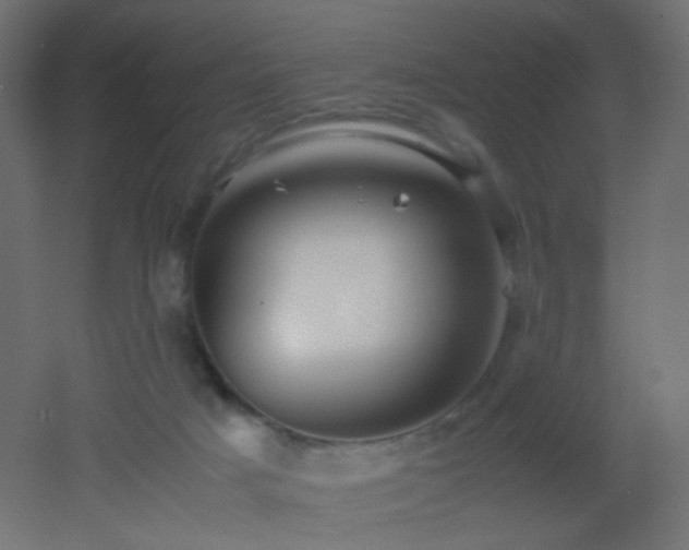 X0000053070025200507111230