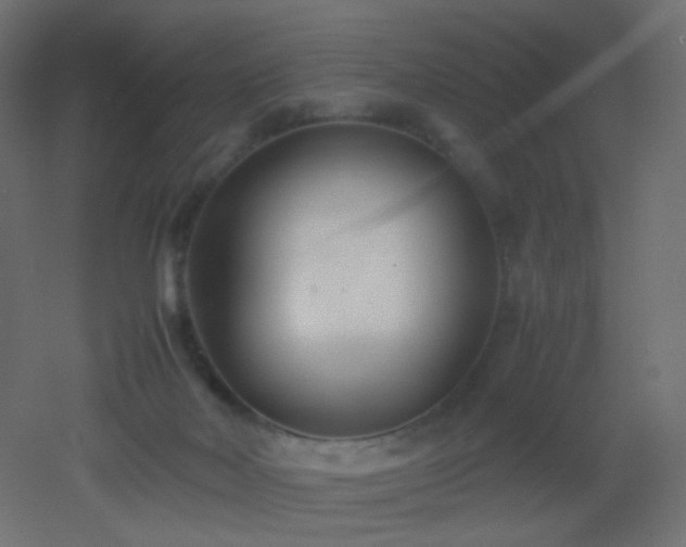 X0000053070026200507111230