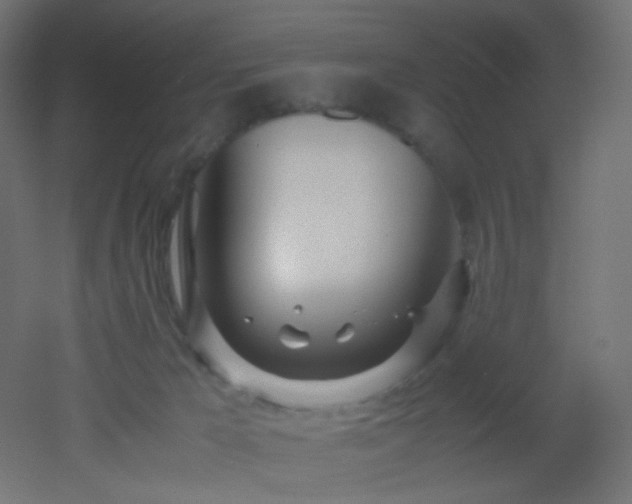 X0000053070029200507111230