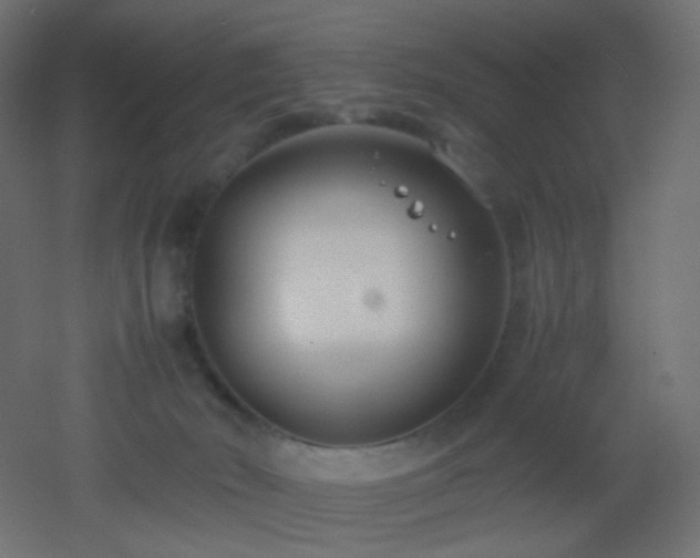 X0000053070030200507111230