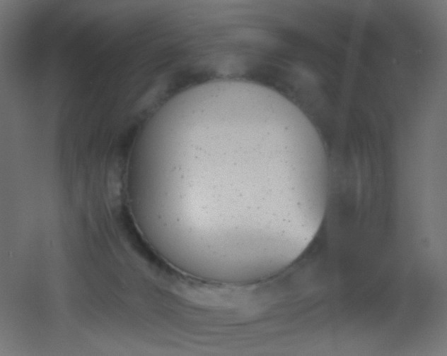 X0000053070032200507111230