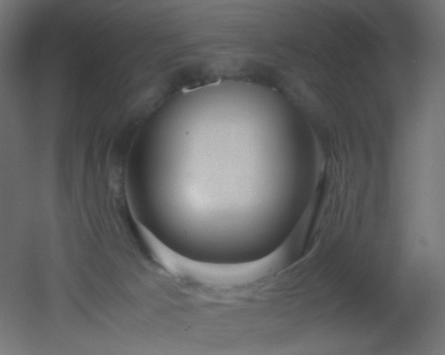 X0000053070033200507111230