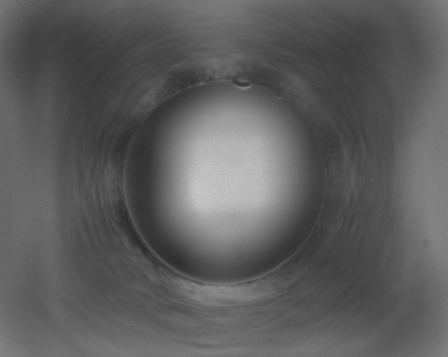 X0000053070034200507111230