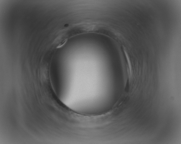 X0000053070035200507111230