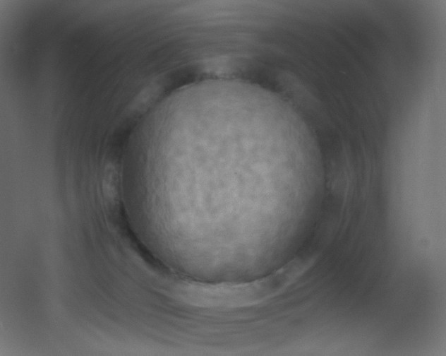 X0000053070036200507111230