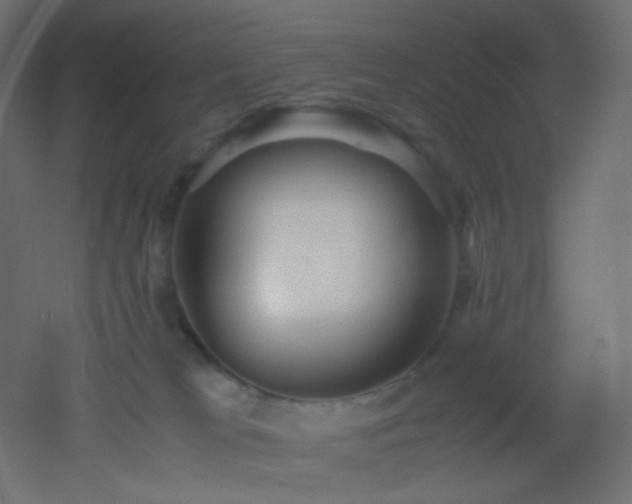 X0000053070037200507111230