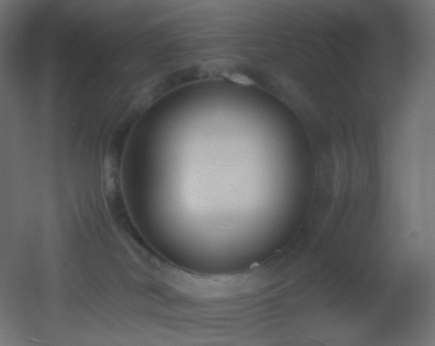 X0000053070038200507111230