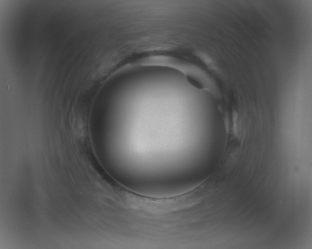 X0000053070039200507111230