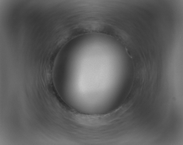 X0000053070040200507111230