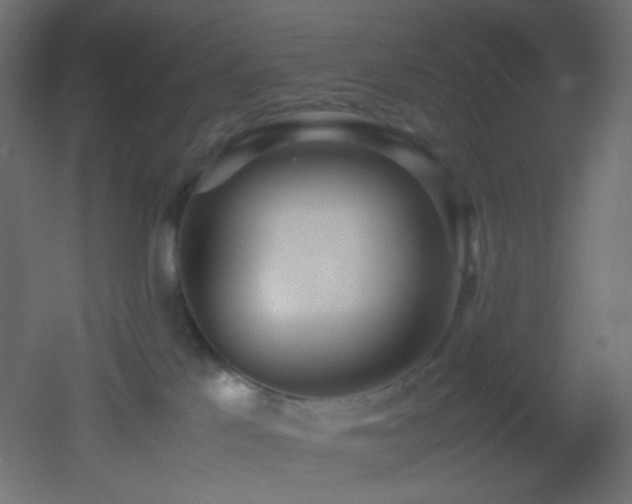 X0000053070041200507111230