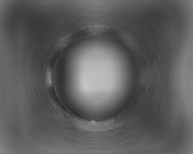 X0000053070042200507111230