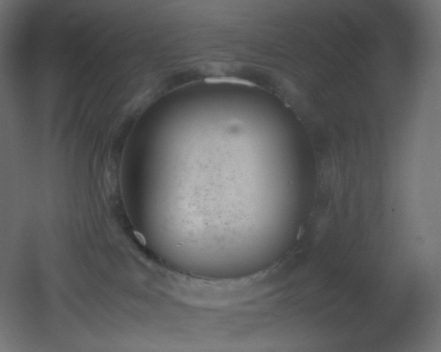 X0000053070043200507111230