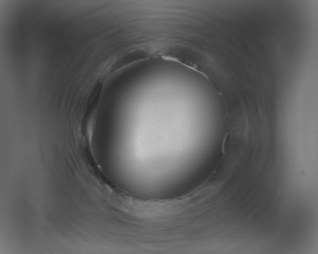 X0000053070044200507111230