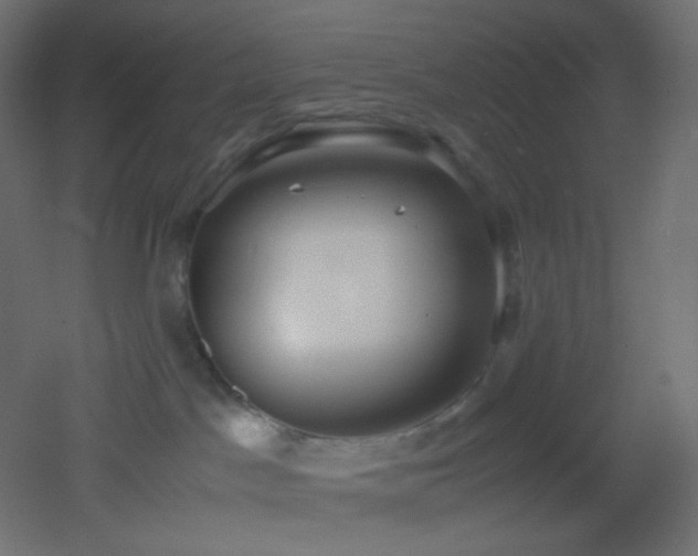 X0000053070045200507111230