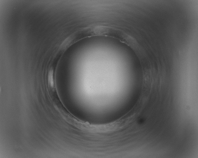 X0000053070046200507111230