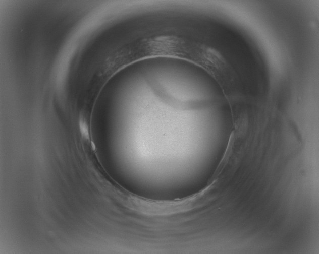 X0000053070047200507111230