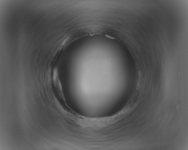 X0000053070048200507111230