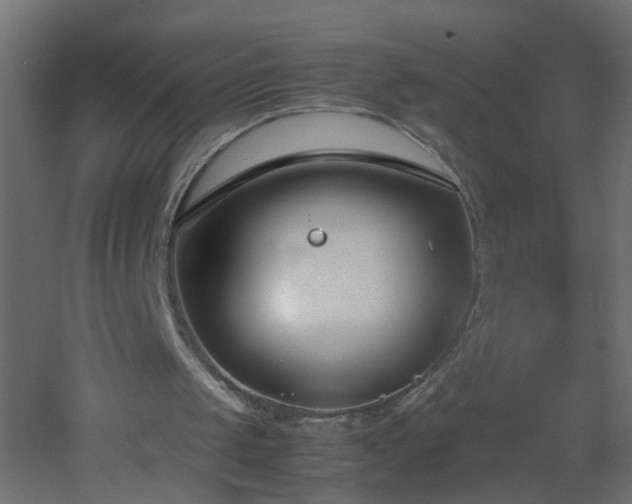 X0000053070049200507111229