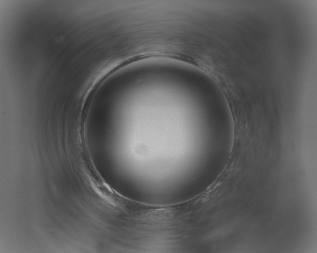 X0000053070050200507111229